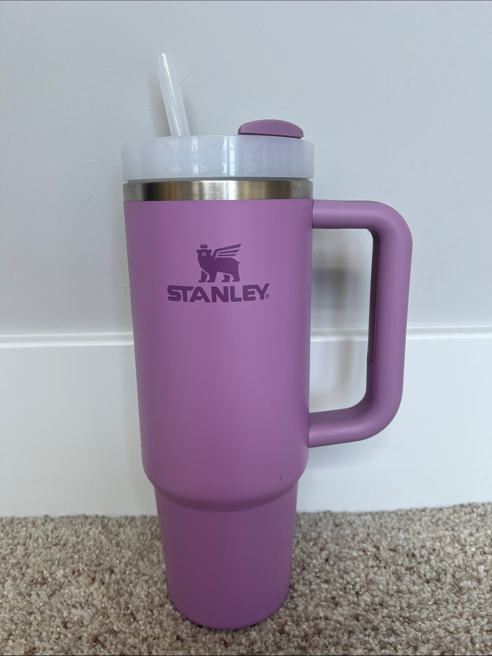 STANLEY Tumbler w/ handle and straw
30 oz